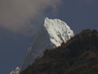 R1059074  Exif JPEG PICTURE : アンナプルナ, ネパール, ポカラ, マチャプチャリ, マディ川