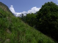 R1059194  Exif JPEG PICTURE : Ⅱ峰, アンナプルナ, ネパール, ポカラ, マディ川, ラムジュン・ヒマール, 草原