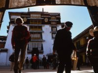 C04B01S08 08 : チベット, ポタラ, ラサ, １９８０年チベット科学討論会