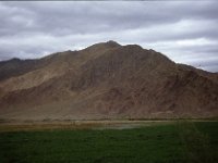 C04B01S11 11 : チベット, ラサーシガツェ, 大麦畑, １９８０年チベット科学討論会