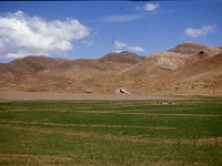 C04B01S14 10 : シガツェーツァム, チベット, 大麦畑, 雲, １９８０年チベット科学討論会