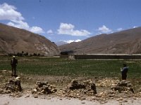 C04B02S02 12 : シガツェーツァム, チベット, 大麦畑, 民家, 雲, １９８０年チベット科学討論会