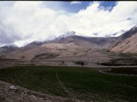 C04B03S03 09 : チベット, 大麦畑, 雲, １９８０年チベット科学討論会