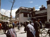 C04B03S06 01 : チベット, 大正寺, １９８０年チベット科学討論会