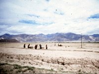 C04B03S10 05 : シガツェ, チベット, １９８０年チベット科学討論会
