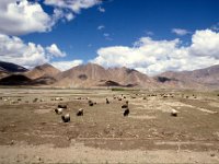 C04B03S10 18 : シガツェ, チベット, 褶曲構造, 雲, １９８０年チベット科学討論会