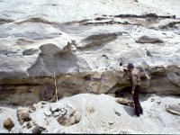 C04B03S13 11 : チベット, 湖成堆積物, １９８０年チベット科学討論会