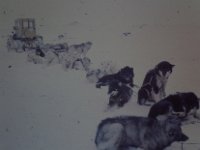 C01B02S02 05 : ハスキー犬, 北極, 氷島アーリスⅡ号