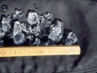 C07B04S08 09 : スピッツベルゲン ノルウェイ 北欧調査 雪結晶