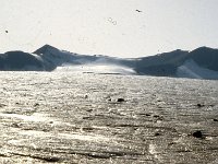 C07B04S12 07 : スピッツベルゲン ノルウェー 北欧調査 氷河