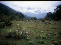 C08B06S28 03 : タンジェ, ブータン, 森林地帯, 積雲