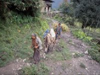 C08B06S28 04 : タンジェ, ブータン, 山岳民族