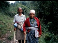 C08B06S28 05 : タンジェ, ブータン, 山岳民族, 森林地帯