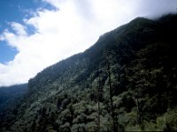 C08B06S33 11 : ブータン, プナカ・ルナナ, 森林地帯, 積雲