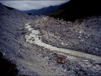 C08B06S62 03 : タンザ, ブータン, プナカ・ルナナ, ルゲ洪水堆積物, 河川地形