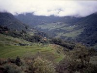 C09B04S28 18 : ティンプー・プナカ, ブータン, 森林地帯