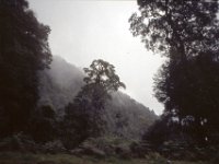 C09B04S55 09 : ドチュラ, ブータン, ワンドゥー・ティンプー, 森林地帯, 積雲
