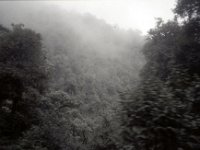 C09B04S55 10 : ドチュラ, ブータン, ワンドゥー・ティンプー, 森林地帯, 積雲
