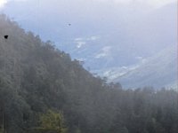 C09B04S60 07 : ティンプー, ブータン, 森林地帯, 積雲