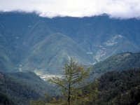 C09B04S60 14 : ティンプー, ブータン, 森林地帯, 積雲
