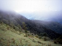 C09B04S60 17 : ティンプー, ブータン, 森林地帯, 積雲