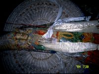 C10B01S11 06 : インド, ラマ教, レー, 寺院