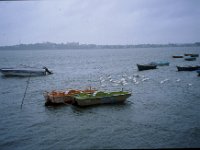 C10B02S05 19 : インド, ボパール, 公害都市, 湖沼, 雲
