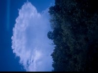 C10B02S09 07 : インド, デラドゥン, 雄大積雲