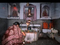 C10B02S09 16 : インド, デラドゥン, 寺院