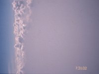 C08B05S01 17 : スモッグ, 積雲, 航空写真, 関空・北京