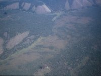 C08B05S18 10 : ウランバートル・ハトガル, モンゴル, 森林破壊, 航空写真