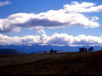 C08B05S31 18 : ツァガノール, モンゴル, 凍土, 積雲, 草原