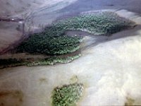 C08B05S40 03 : ムルン・ウランバートル, モンゴル, 森林破壊, 航空写真