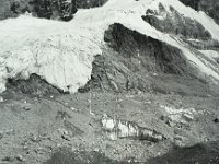 C01B13P07 18 : クンブ デブリ氷河 ヌプツェ 氷河