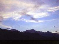 C10B02S24 02 : ポカラ, マナスル三山, 朝焼け, 雲