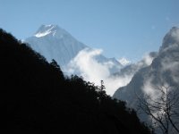 2008 11 23N01 069 : ツラギ氷河調査 森林 第５日目 U字谷地形