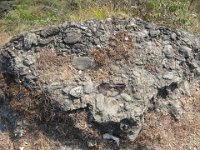 2008 12 30N03 018 : トートンガ ポカラ 崖地形 礫岩