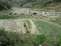 2009 04 23N02 075 : トリスリ川流域 砂利取り