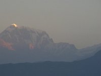 2010 01 07R01 067 : アンナプルナ ポカラ 三峰 朝焼け