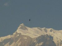 2010 01 09R02 016 : アンナプルナ パハルタルク ポカラ 二峰 四峰