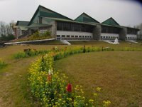 2010 03 01R01 024 : ポカラ 国際山岳博物館 庭 花