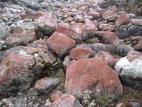 IMG 1094 : ダナコーラ, ツラギ氷河湖, マルシャンディ流域, 河床礫, 赤地衣類, BC・P２・石小屋