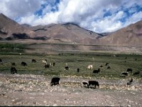 C04B03S04 02 : チベット, 雲, １９８０年チベット科学討論会