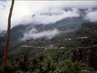 C04B03S14 0005 : スンコシ河, ツァム, 照葉樹林, １９８０年チベット科学討論会