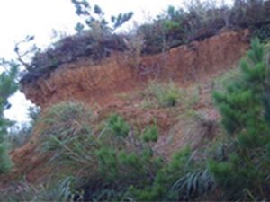 写真５（左）阿嘉島中央部の大岳（160.7ｍ）周辺に分布する赤土
