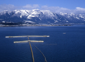 図４　冬の琵琶湖と比良山地